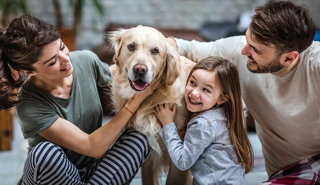 Pets Can Teach Kids Valuable Life Lessons