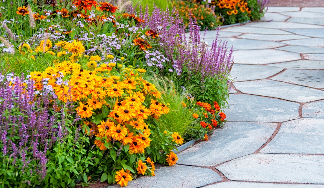 4 Ways to Spruce Up Your Garden This Spring
