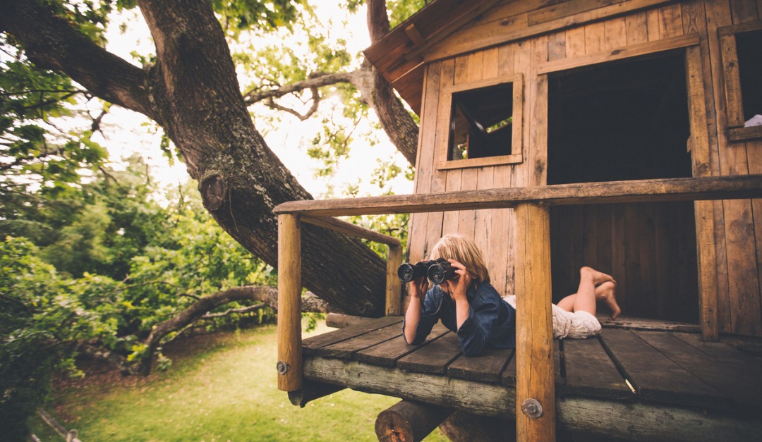 Backyard Upgrades Your Kids Will Love