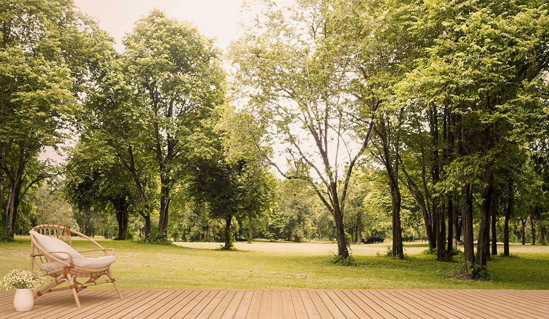 Inspired Ideas to Upgrade Your Backyard