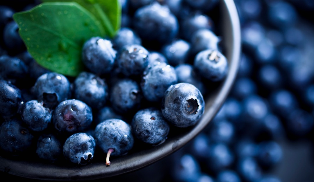4 Superfoods to Keep You Healthy