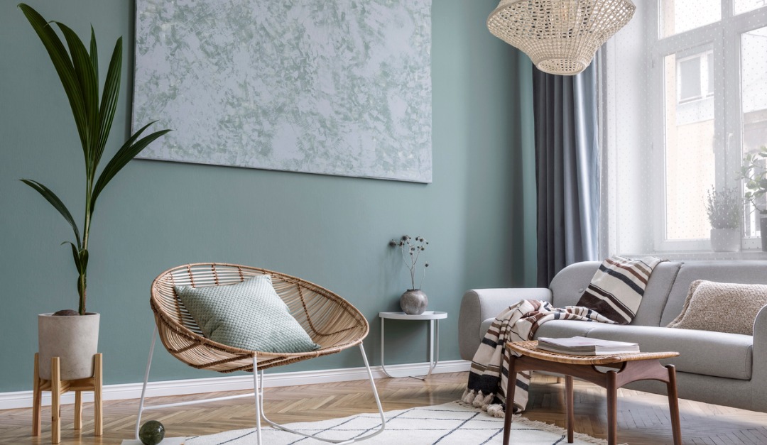 The Best Indoor Trees to Bring Into Your Home