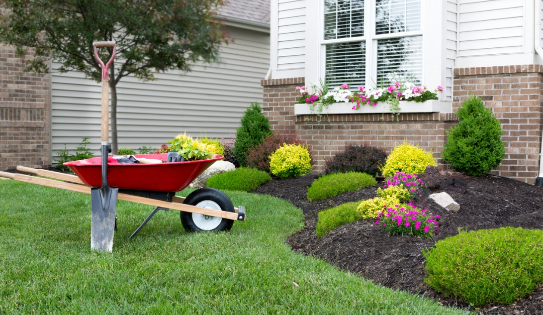 3 Benefits of Landscaping Your Home With Native Plants