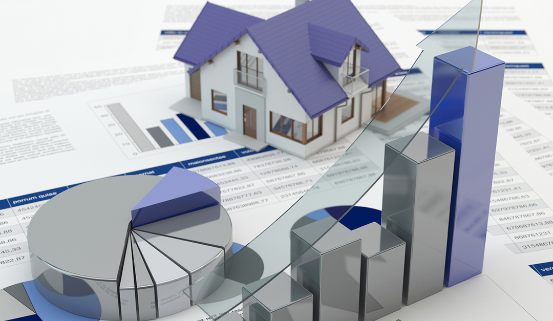 Craig McClelland: Studying the Market for Success