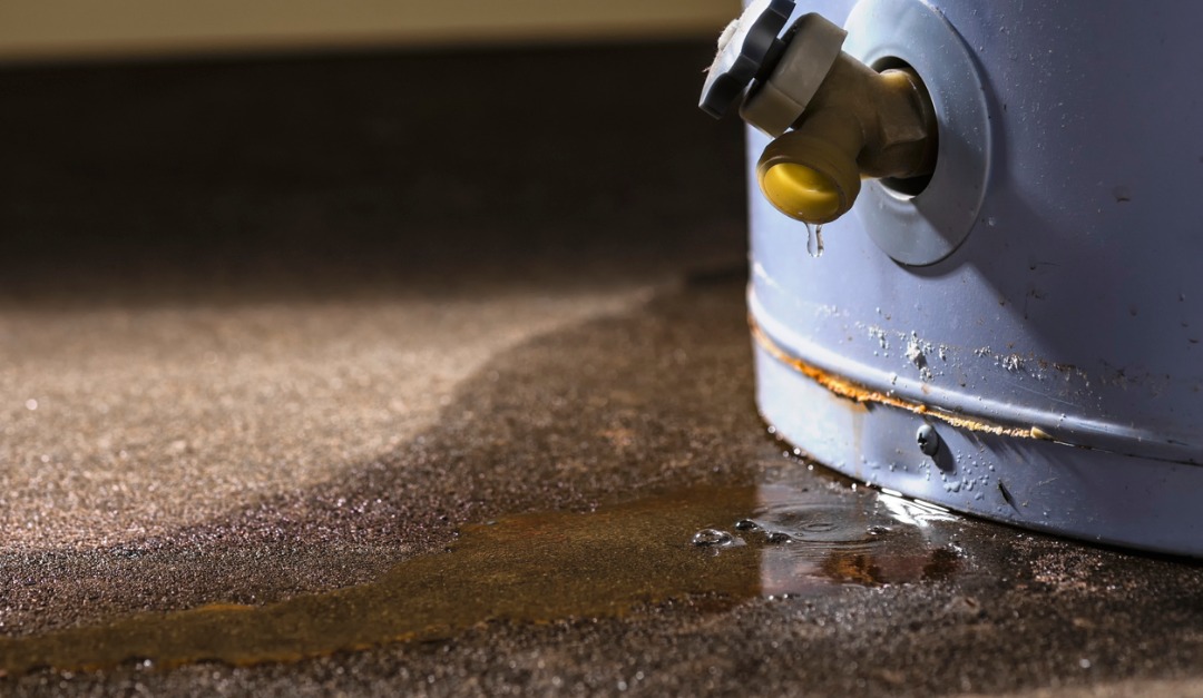 Signs That You May Have a Moisture Problem in Your Basement