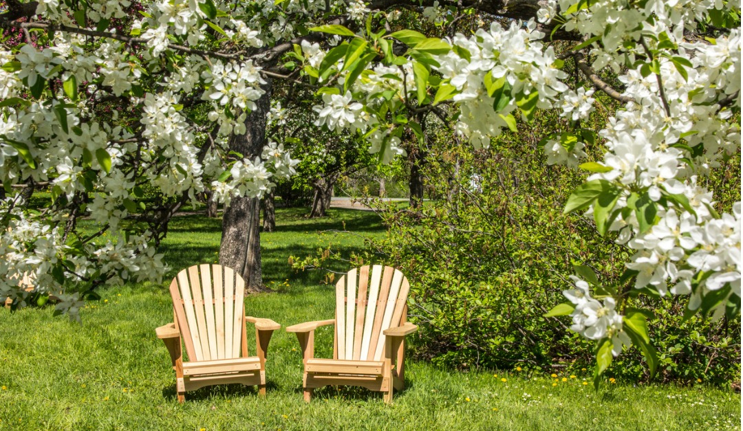 4 Classic Outdoor Chair Styles for Every Backyard