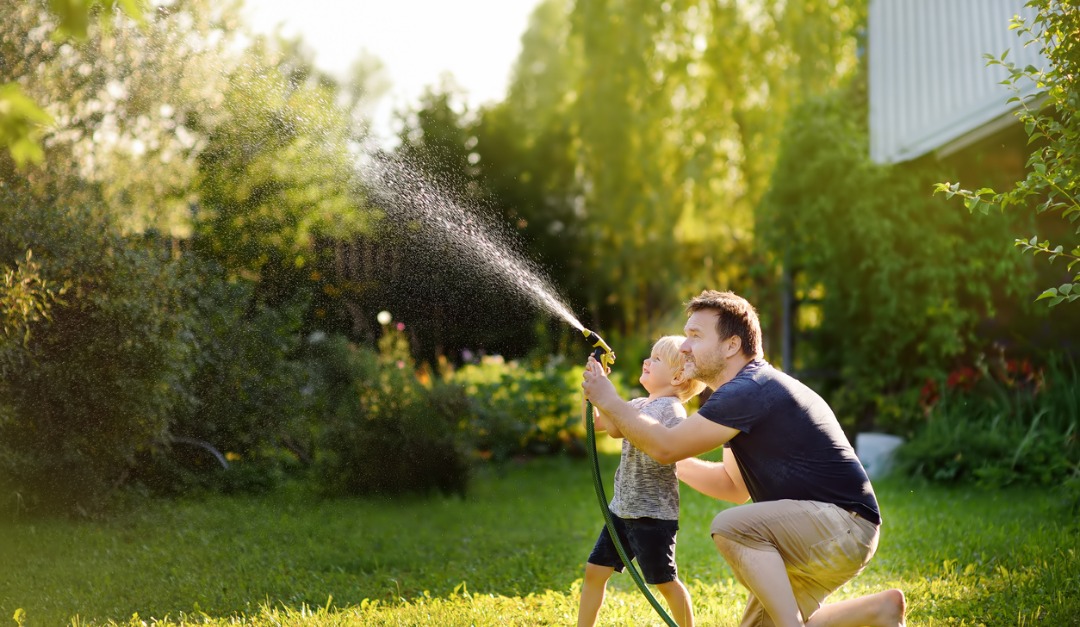 How to Protect Your Lawn in the Heat