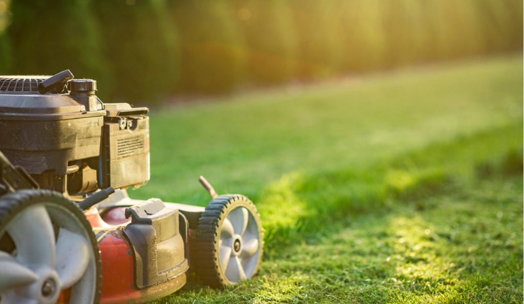 5 Mowing Mistakes to Avoid for a Healthy, Beautiful Yard