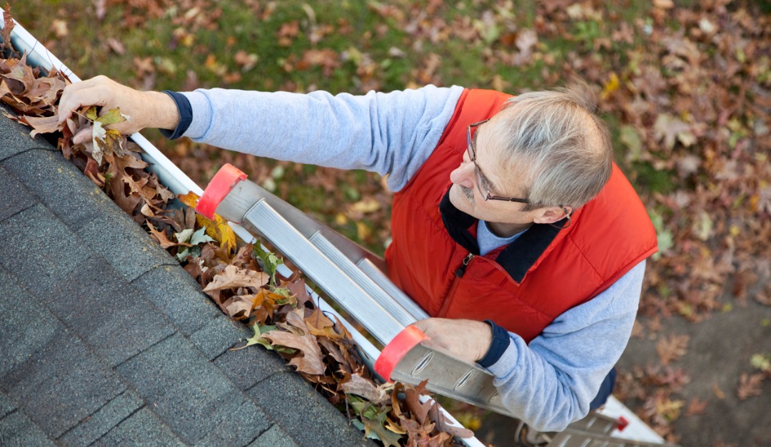 Everything You Need to Know About Cleaning Your Gutters