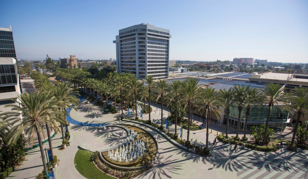 Standing Out in SoCal