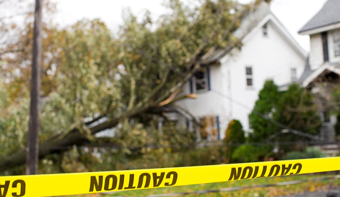 Who Is Responsible If a Tree Falls During a Storm and Causes Property Damage?