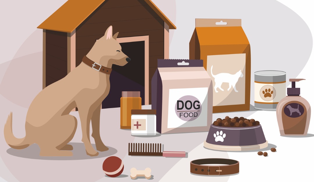 Creating a Pet Disaster Kit
