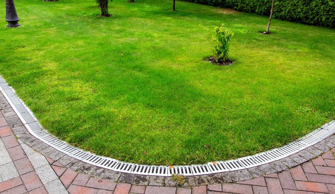 How to Change the Landscaping in Your Yard to Improve Drainage