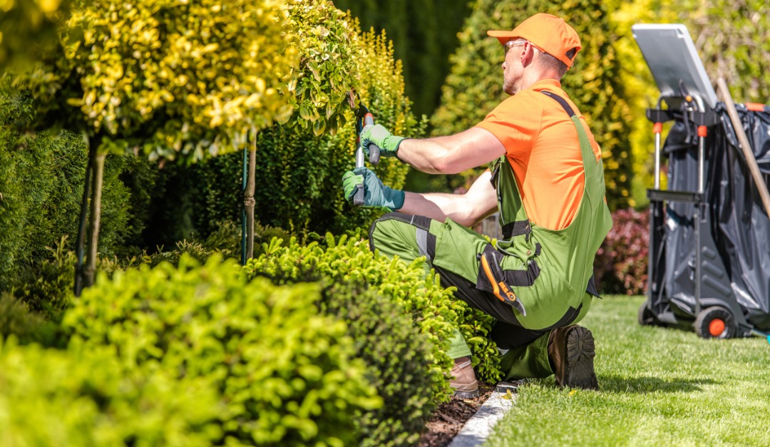 5 Outdoor Improvements That Can Increase Your Home’s Value