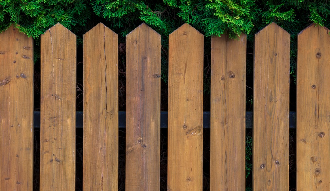 How to Protect Your Fence From Damage — RISMedia
