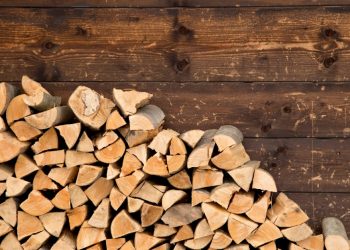 Why You Should Store Firewood Outdoors