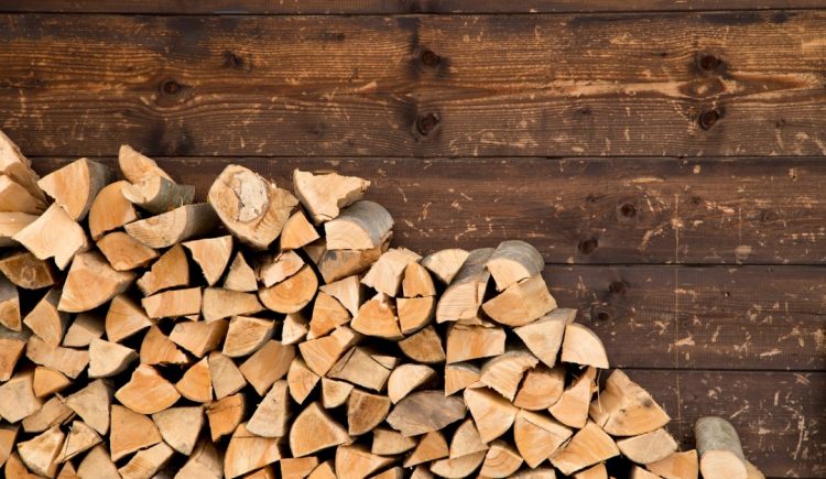 Why You Should Store Firewood Outdoors
