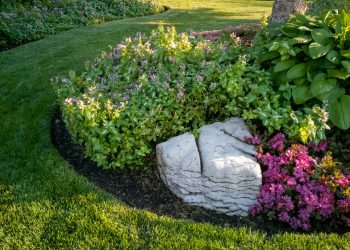 On Gardening: Vanilla Spice Is Oh, So Nice