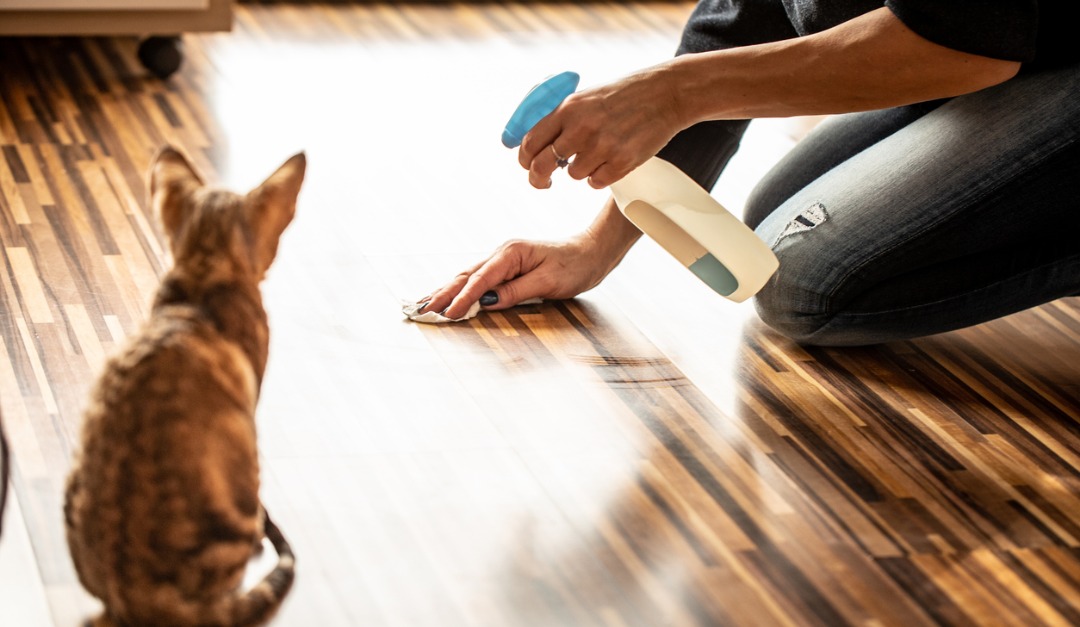 4 Items Every New Pet Owner Needs to Protect Their Home