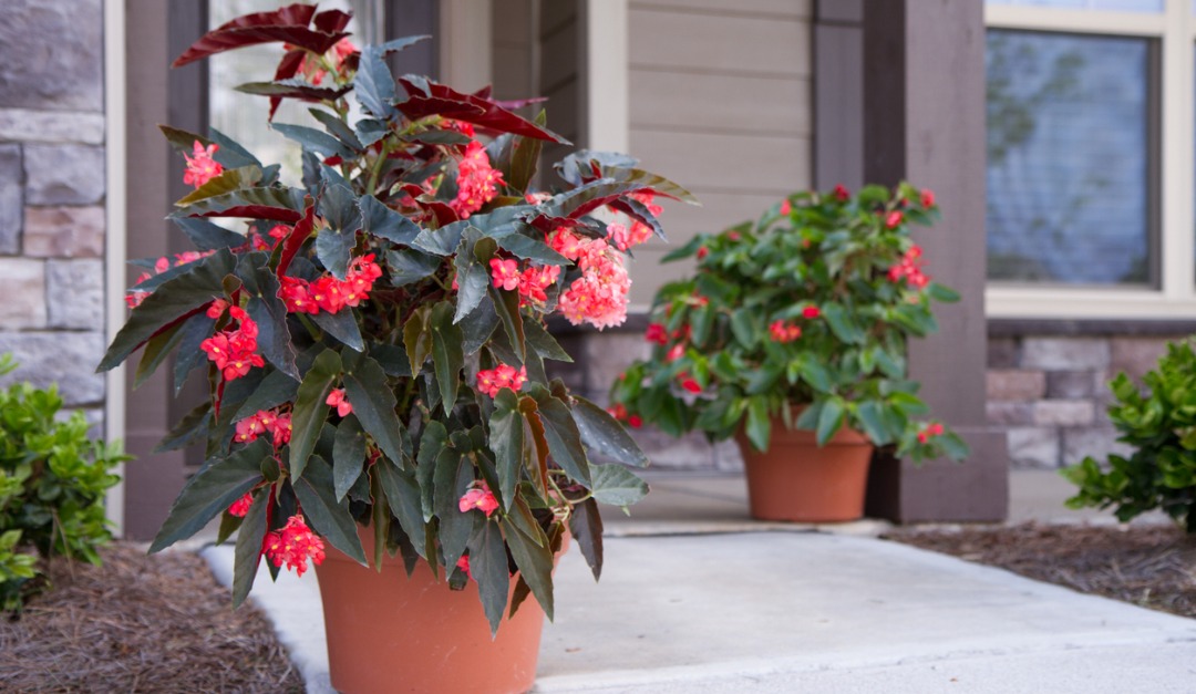 5 Easy Ways to Spruce Up Your Home's Exterior — RISMedia