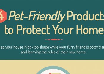 4 Pet-Friendly Products to Protect Your Home