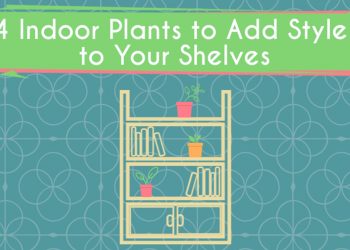 4 Indoor Plants to Add Style to Your Shelves