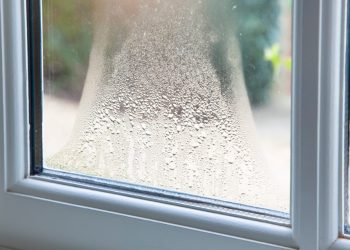 Why Condensation May Mean That It’s Time to Replace Your Windows