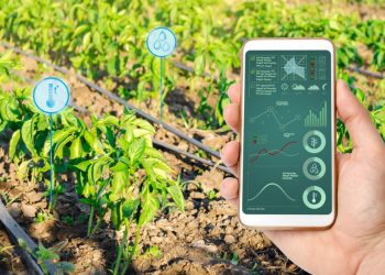 4 Tips to Reduce Water Consumption at Home