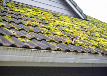 What to Do About Moss on Your Roof