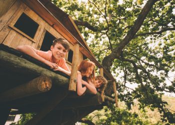 4 Exciting Backyard Features For the Kids