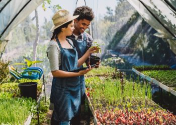 4 Reasons Why Every Gardener Needs a Greenhouse