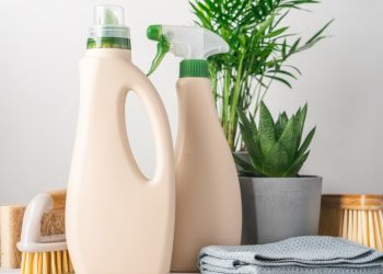 4 Types of Organic Home Products for a Healthier Living Space