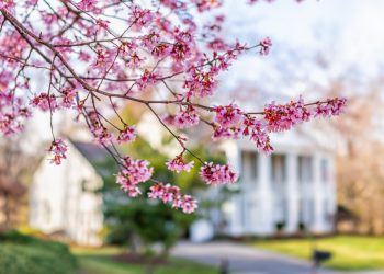 How to Stand Out in a Crowded Spring Market