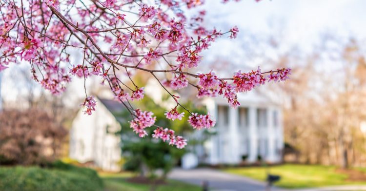 How to Stand Out in a Crowded Spring Market