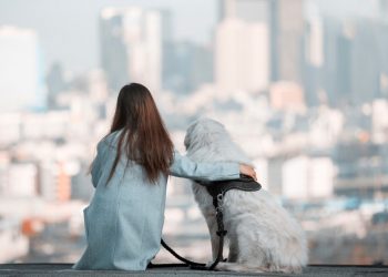 4 Dog Breeds That Love Urban Living