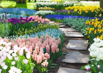 Why You Should Invest in Landscape Design