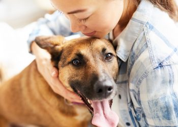 The 4 Best Features for a Pet Owner’s Home