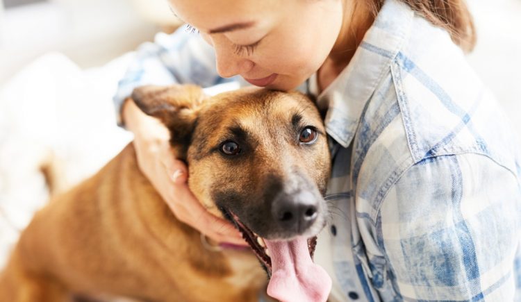The 4 Best Features for a Pet Owner’s Home