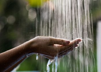 An Urban Oasis: Outdoor Showers in the City