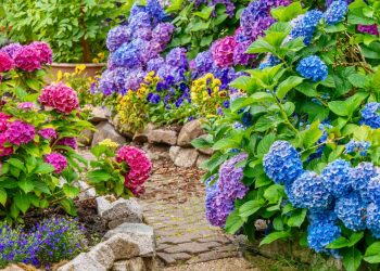 4 Tips for a Gorgeous Garden This Spring