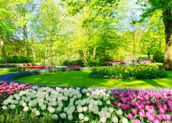 5 Types of Gardens to Beautify Your Home