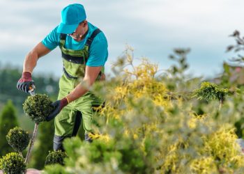 4 Tips for Finding the Perfect Caretaker for Your Property