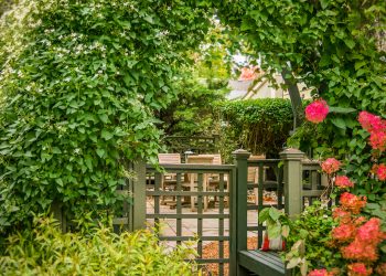 5 Ways to Create a Private Outdoor Living Area