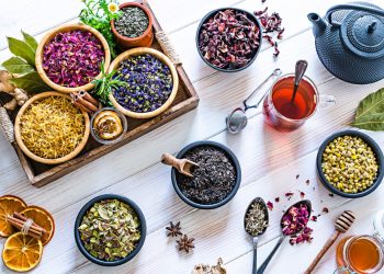 4 Tips for Growing Your Own Tea Garden at Home