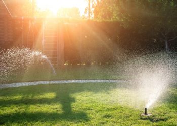 Why You Should Install a Smart Irrigation System