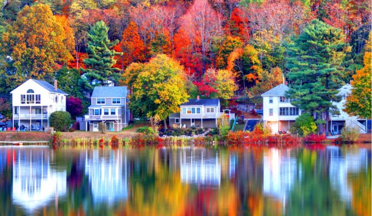 The Best Trees to Add Beautiful Fall Foliage to Your Yard