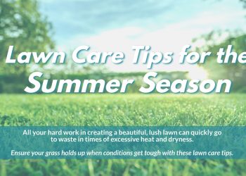 Lawn Care Tips for the Summer Season