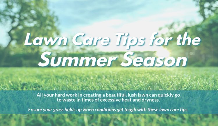 Lawn Care Tips for the Summer Season