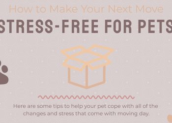 How to Make Your Next Move Stress-Free for Pets