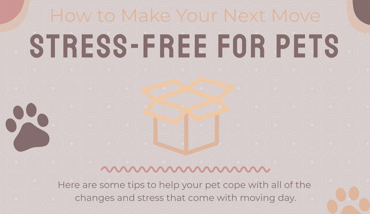 How to Make Your Next Move Stress-Free for Pets